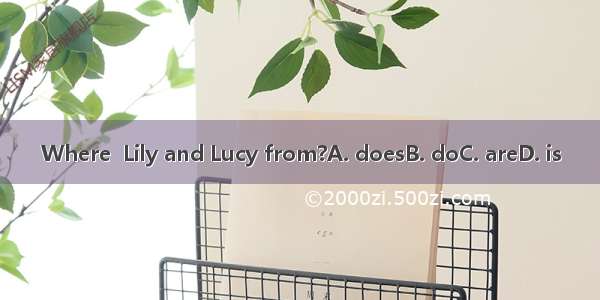 Where  Lily and Lucy from?A. doesB. doC. areD. is