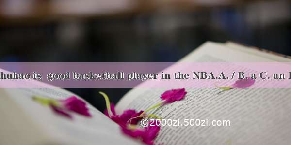 Lin Shuhao is  good basketball player in the NBA.A. / B. a C. an D. the