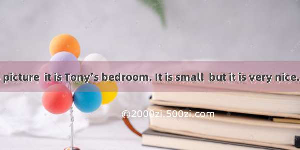 Look at this picture  it is Tony’s bedroom. It is small  but it is very nice. There is a d