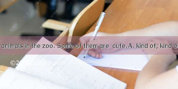 There are many  animals in the zoo. Some of them are  cute.A. kind of; kind ofB. kinds of;