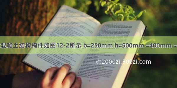 某T形截面钢筋混凝土结构构件如图12-2所示 b=250mm h=500mm =400mm =150mm =9000