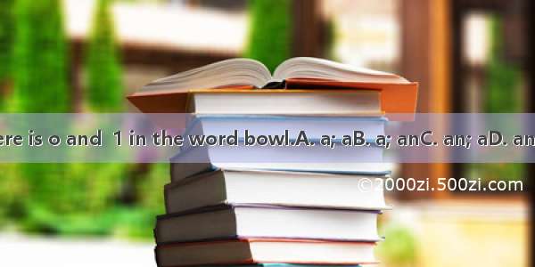 There is o and  1 in the word bowl.A. a; aB. a; anC. an; aD. an; an