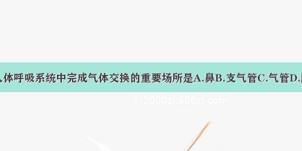 人体呼吸系统中完成气体交换的重要场所是A.鼻B.支气管C.气管D.肺