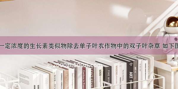 生产上常用一定浓度的生长素类似物除去单子叶农作物中的双子叶杂草 如下图所示。下面