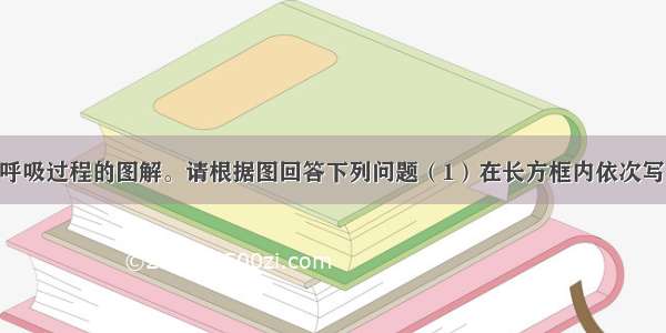 下图是有氧呼吸过程的图解。请根据图回答下列问题（1）在长方框内依次写出1 2 3所代