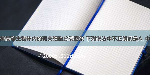 下图为同一种高等生物体内的有关细胞分裂图象 下列说法中不正确的是A. 中心法则所表