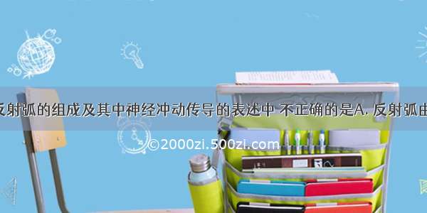 下列关于反射弧的组成及其中神经冲动传导的表述中 不正确的是A. 反射弧由感受器 传