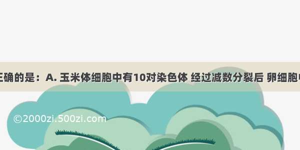 下列表述正确的是：A. 玉米体细胞中有10对染色体 经过减数分裂后 卵细胞中染色体数