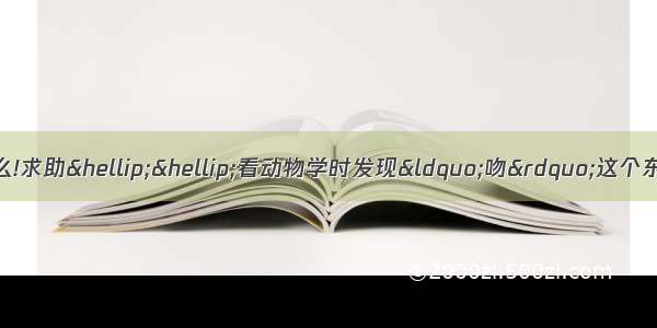 动物中所谓的“吻”是什么!求助……看动物学时发现“吻”这个东西出现很多次……比如