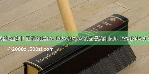 下列关于核酸的叙述中 正确的是BA. DNA和RNA的五碳糖相同B. 双链DNA分子中嘌呤数等