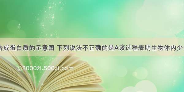 图为细胞中合成蛋白质的示意图 下列说法不正确的是A该过程表明生物体内少量的mRNA可