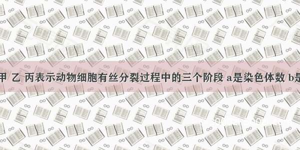 下图中的甲 乙 丙表示动物细胞有丝分裂过程中的三个阶段 a是染色体数 b是染色单体