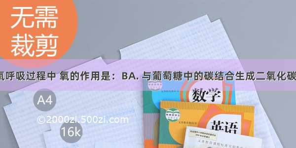 在进行有氧呼吸过程中 氧的作用是：BA. 与葡萄糖中的碳结合生成二氧化碳B. 与[H]结