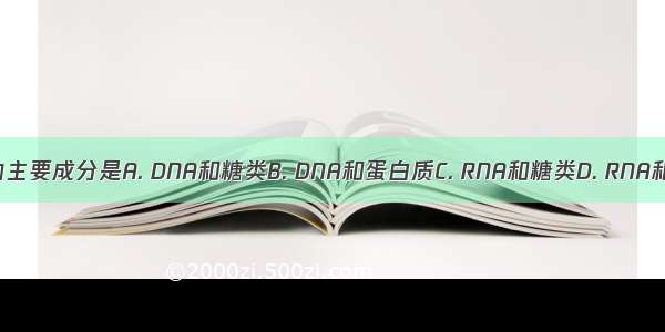 染色体的主要成分是A. DNA和糖类B. DNA和蛋白质C. RNA和糖类D. RNA和蛋白质