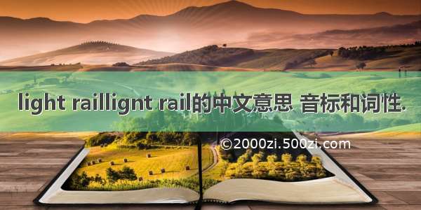 light raillignt rail的中文意思 音标和词性.