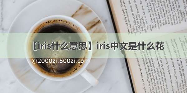 【iris什么意思】iris中文是什么花