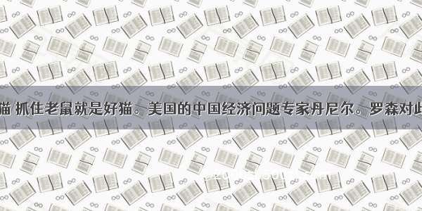 不管黑猫白猫 抓住老鼠就是好猫。美国的中国经济问题专家丹尼尔。罗森对此作了有益的