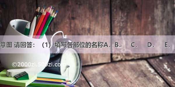 如图是关节示意图 请回答：（1）填写各部位的名称A．B．　C．　D．　E．　（2）图中B