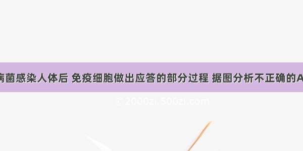 右图表示病菌感染人体后 免疫细胞做出应答的部分过程 据图分析不正确的A. 过程③表