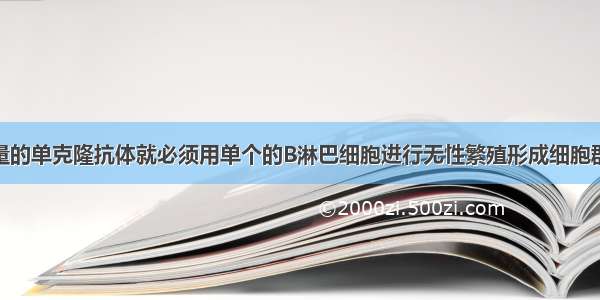 要想获得大量的单克隆抗体就必须用单个的B淋巴细胞进行无性繁殖形成细胞群 其原因是D