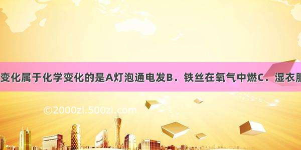 下列各图所示变化属于化学变化的是A灯泡通电发B．铁丝在氧气中燃C．湿衣服晾D．食盐水