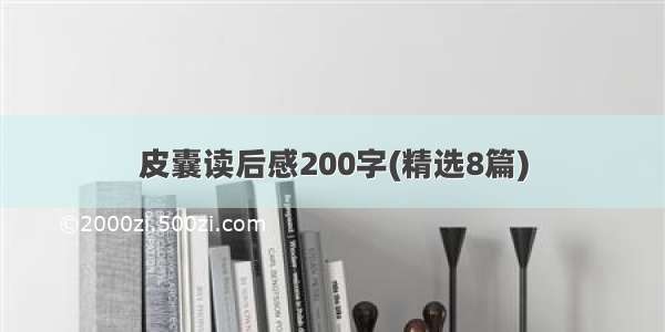 皮囊读后感200字(精选8篇)