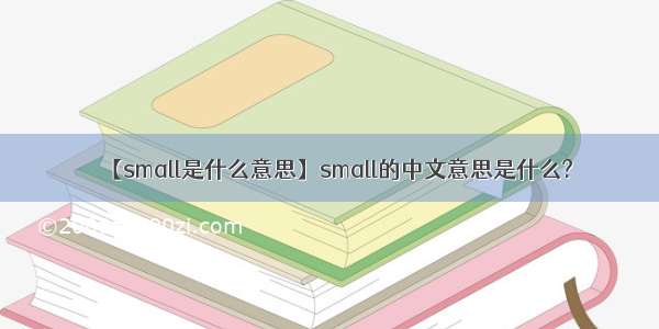 【small是什么意思】small的中文意思是什么?