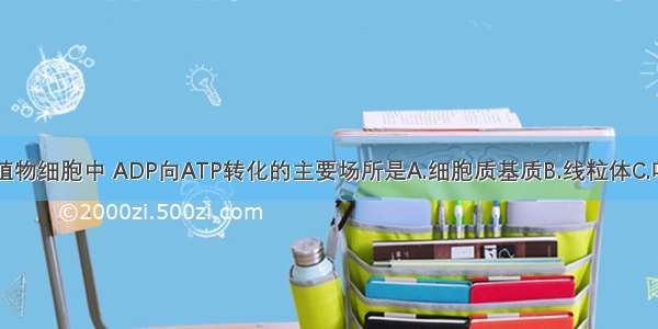 单选题植物细胞中 ADP向ATP转化的主要场所是A.细胞质基质B.线粒体C.叶绿体D.