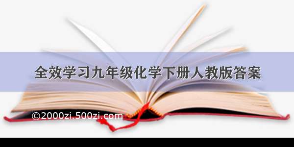 全效学习九年级化学下册人教版答案