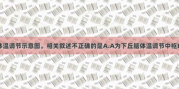 下图为人体体温调节示意图。相关叙述不正确的是A.A为下丘脑体温调节中枢B.人体受到寒