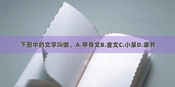 下图中的文字叫做。A.甲骨文B.金文C.小篆D.隶书